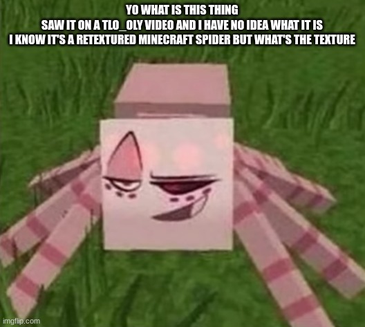 YO WHAT IS THIS THING
SAW IT ON A TLO_OLY VIDEO AND I HAVE NO IDEA WHAT IT IS
I KNOW IT'S A RETEXTURED MINECRAFT SPIDER BUT WHAT'S THE TEXTURE | made w/ Imgflip meme maker