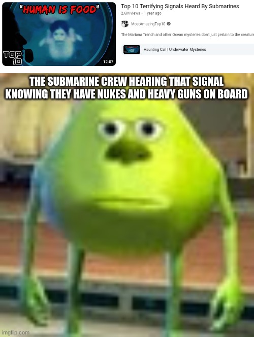 the sharks are gonna have some torpedo-cooked meat tonight in bite sized pieces | THE SUBMARINE CREW HEARING THAT SIGNAL KNOWING THEY HAVE NUKES AND HEAVY GUNS ON BOARD | image tagged in sully wazowski,submarine | made w/ Imgflip meme maker