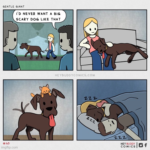 Not So Scary | image tagged in dogs | made w/ Imgflip meme maker