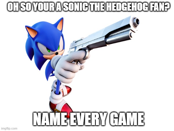 Do it now. | OH SO YOUR A SONIC THE HEDGEHOG FAN? NAME EVERY GAME | image tagged in sonic the hedgehog,video games | made w/ Imgflip meme maker