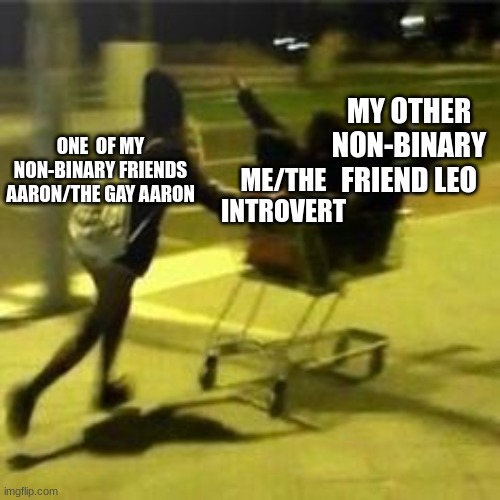this might happen | MY OTHER NON-BINARY FRIEND LEO; ME/THE INTROVERT; ONE  OF MY NON-BINARY FRIENDS AARON/THE GAY AARON | image tagged in when u and ur friends are outside at midnight being stupid | made w/ Imgflip meme maker