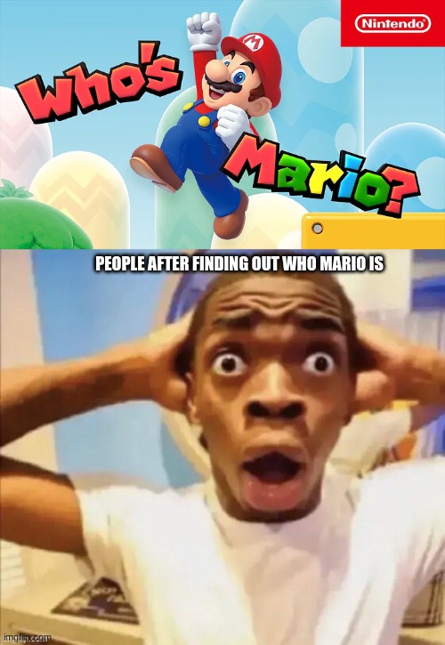 dang nintendo | PEOPLE AFTER FINDING OUT WHO MARIO IS | image tagged in in shock | made w/ Imgflip meme maker