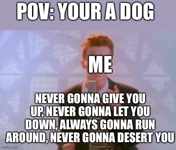 Rick Astley | POV: YOUR A DOG; ME; NEVER GONNA GIVE YOU UP, NEVER GONNA LET YOU DOWN, ALWAYS GONNA RUN AROUND, NEVER GONNA DESERT YOU | image tagged in rick astley | made w/ Imgflip meme maker