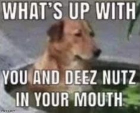 made w/ Imgflip meme maker