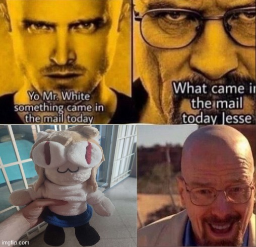 yo mr white something came in the mail today | image tagged in yo mr white something came in the mail today | made w/ Imgflip meme maker