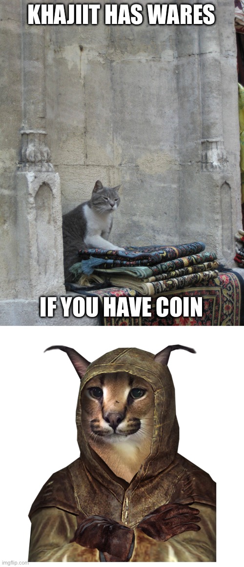 KHAJIIT HAS WARES IF YOU HAVE COIN | image tagged in khajit has wares if you have coin,khajiit floppa | made w/ Imgflip meme maker