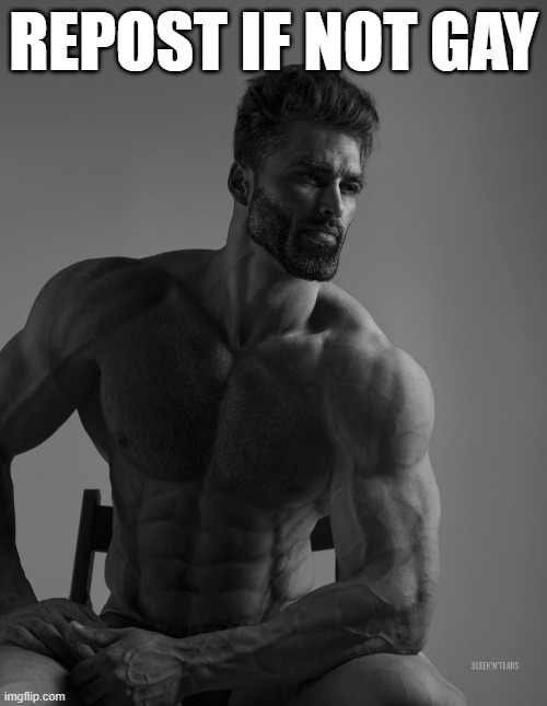 Giga Chad | REPOST IF NOT GAY | image tagged in giga chad | made w/ Imgflip meme maker