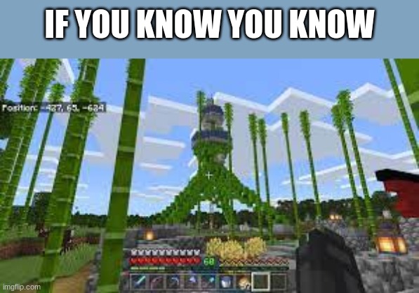 Look at the build | IF YOU KNOW YOU KNOW | image tagged in minecraft,splatoon,memes | made w/ Imgflip meme maker