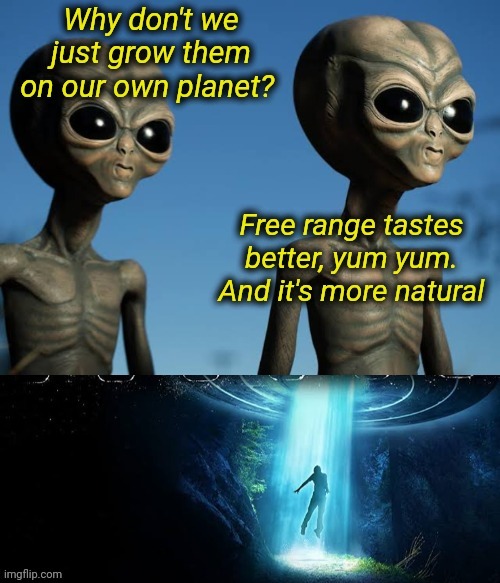 Alien Abduction or Alien Dinner | image tagged in aliens,abduction | made w/ Imgflip meme maker