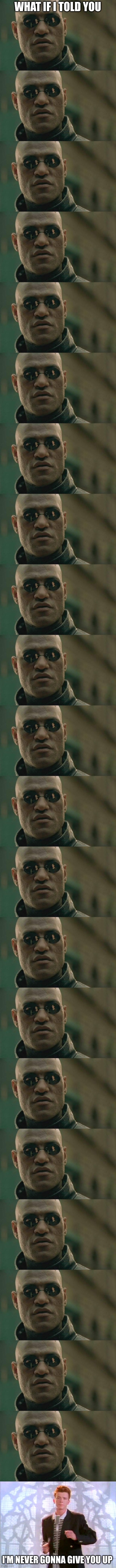 what if | WHAT IF I TOLD YOU; I'M NEVER GONNA GIVE YOU UP | image tagged in memes,matrix morpheus,funny,fun,fun stream,fonnay | made w/ Imgflip meme maker
