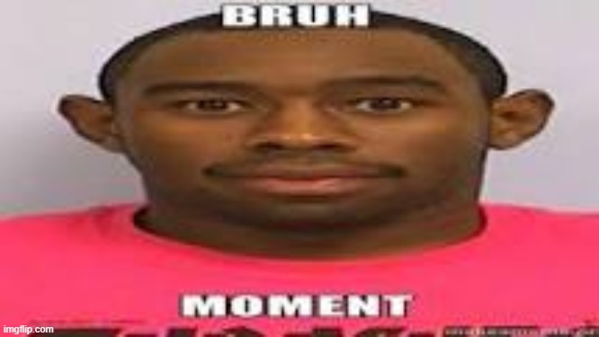 bruh | image tagged in bruh moment,goofy ahh | made w/ Imgflip meme maker