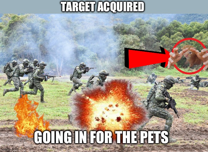 ?? | TARGET ACQUIRED; GOING IN FOR THE PETS | image tagged in guys on battlefield | made w/ Imgflip meme maker