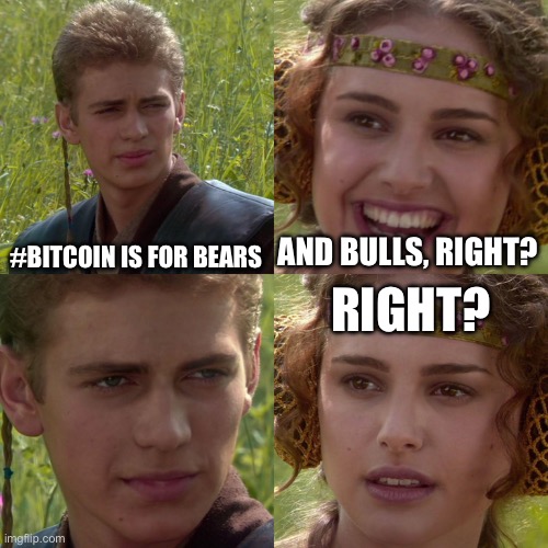 Anakin Padme 4 Panel | #BITCOIN IS FOR BEARS; AND BULLS, RIGHT? RIGHT? | image tagged in anakin padme 4 panel | made w/ Imgflip meme maker