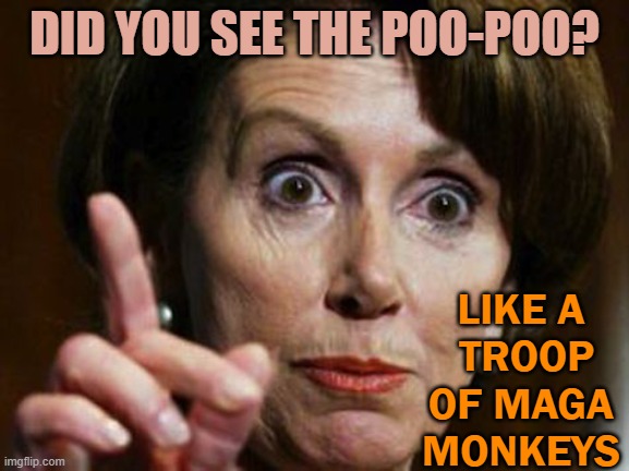 Nancy Pelosi No Spending Problem | DID YOU SEE THE POO-POO? LIKE A

 TROOP OF MAGA MONKEYS | image tagged in nancy pelosi no spending problem | made w/ Imgflip meme maker