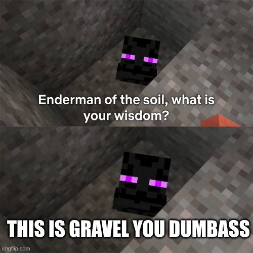 Saw this template and wanted to use it | THIS IS GRAVEL YOU DUMBASS | image tagged in enderman of the soil | made w/ Imgflip meme maker