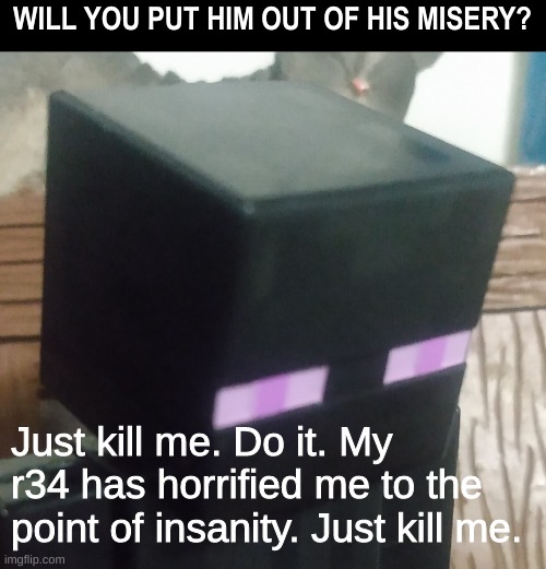 I hate the enderman's rule 34. | WILL YOU PUT HIM OUT OF HIS MISERY? Just kill me. Do it. My r34 has horrified me to the point of insanity. Just kill me. | image tagged in enderman stare | made w/ Imgflip meme maker