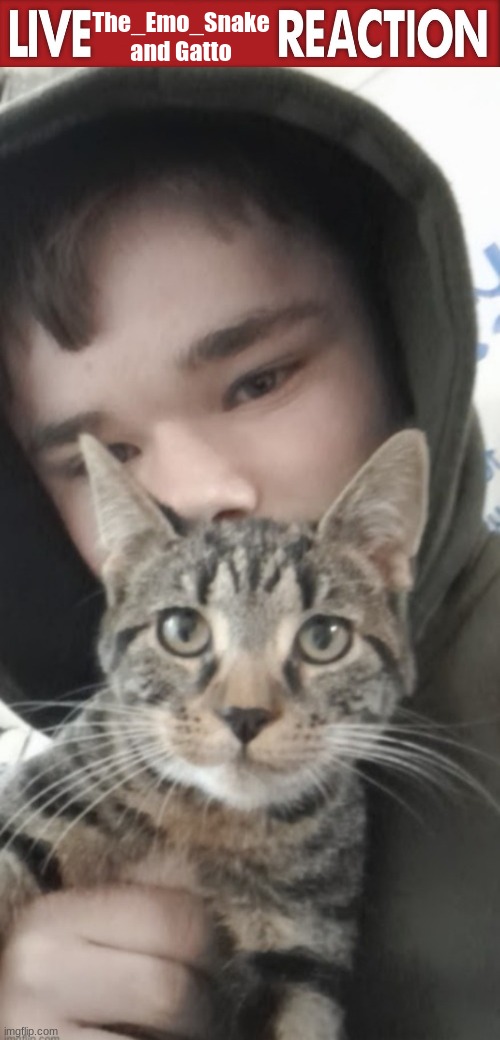 The_Emo_Snake and Gatto | image tagged in live x reaction | made w/ Imgflip meme maker