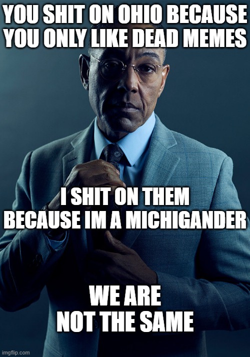 Ohio Memes vs Ohio Hatred | YOU SHIT ON OHIO BECAUSE YOU ONLY LIKE DEAD MEMES; I SHIT ON THEM BECAUSE IM A MICHIGANDER; WE ARE NOT THE SAME | image tagged in gus fring we are not the same | made w/ Imgflip meme maker
