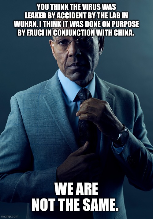 We are not the same | YOU THINK THE VIRUS WAS LEAKED BY ACCIDENT BY THE LAB IN WUHAN. I THINK IT WAS DONE ON PURPOSE BY FAUCI IN CONJUNCTION WITH CHINA. WE ARE NOT THE SAME. | image tagged in we are not the same | made w/ Imgflip meme maker