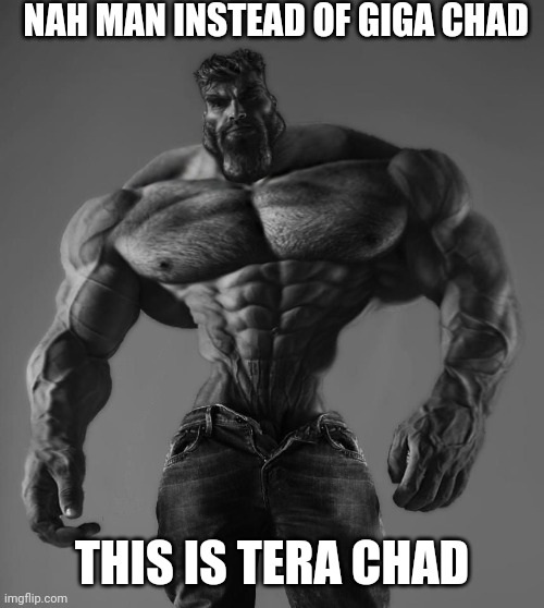 Like gigabyte and terabyte | NAH MAN INSTEAD OF GIGA CHAD; THIS IS TERA CHAD | image tagged in gigachad,terachad | made w/ Imgflip meme maker