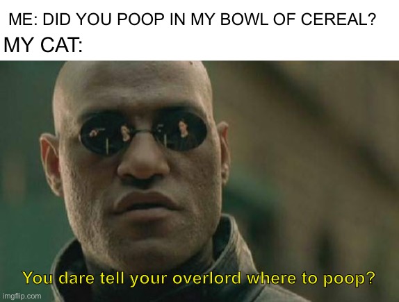 Matrix Morpheus | ME: DID YOU POOP IN MY BOWL OF CEREAL? MY CAT:; You dare tell your overlord where to poop? | image tagged in memes,matrix morpheus | made w/ Imgflip meme maker