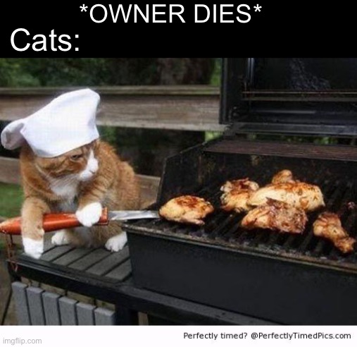 dinner is served | *OWNER DIES*; Cats: | image tagged in dinner is served | made w/ Imgflip meme maker