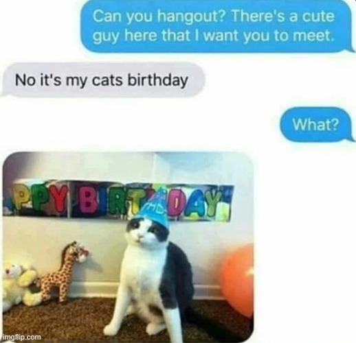 Happy birthday to them! | image tagged in cats,happy birthday,grumpy cat birthday,birthday | made w/ Imgflip meme maker
