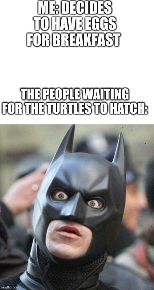 These eggs are...crunchy | ME: DECIDES TO HAVE EGGS FOR BREAKFAST; THE PEOPLE WAITING FOR THE TURTLES TO HATCH: | image tagged in shocked batman | made w/ Imgflip meme maker
