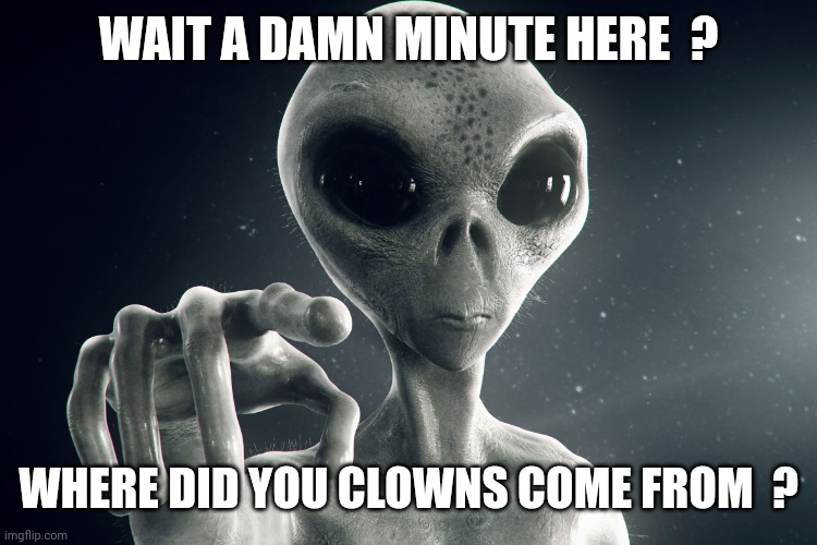 Alien Pointing | WAIT A DAMN MINUTE HERE  ? WHERE DID YOU CLOWNS COME FROM  ? | image tagged in alien pointing | made w/ Imgflip meme maker