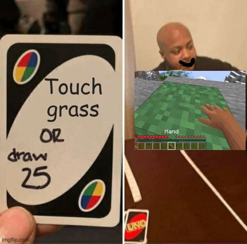 no touch grass; touched grass meme - Piñata Farms - The best meme generator  and meme maker for video & image memes