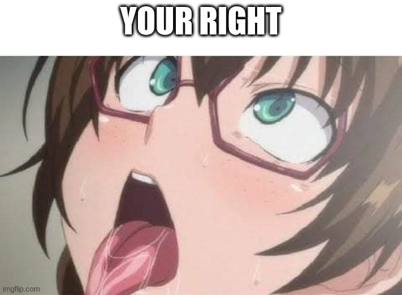 Anime | YOUR RIGHT | image tagged in anime | made w/ Imgflip meme maker