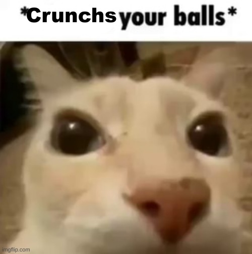 X your balls | Crunchs | image tagged in x your balls | made w/ Imgflip meme maker