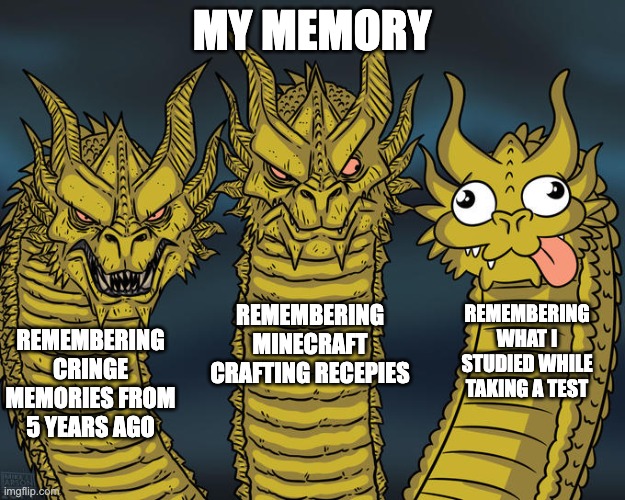 memory | MY MEMORY; REMEMBERING MINECRAFT CRAFTING RECEPIES; REMEMBERING WHAT I STUDIED WHILE TAKING A TEST; REMEMBERING CRINGE MEMORIES FROM 5 YEARS AGO | image tagged in three-headed dragon | made w/ Imgflip meme maker