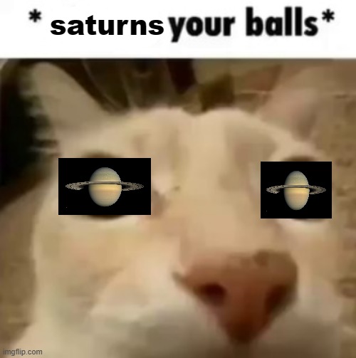 X your balls | saturns | image tagged in x your balls | made w/ Imgflip meme maker