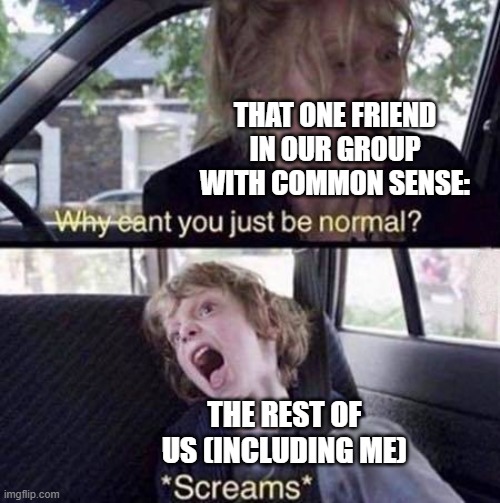 Relatable? Or is it just us? | THAT ONE FRIEND IN OUR GROUP WITH COMMON SENSE:; THE REST OF US (INCLUDING ME) | image tagged in middle school,friend groups,why are you reading the tags | made w/ Imgflip meme maker