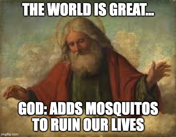LIKE WHY DO MOSQUITOS EXIST THEY ARE SO USELESS | THE WORLD IS GREAT... GOD: ADDS MOSQUITOS TO RUIN OUR LIVES | image tagged in god,funny,so true memes,memes,so true meme,god making bad descisions | made w/ Imgflip meme maker