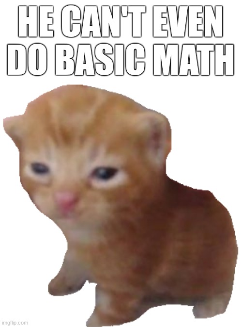 skill issue | HE CAN'T EVEN DO BASIC MATH | image tagged in herbert,grumpy cat,woman yelling at cat,cats,cat,math | made w/ Imgflip meme maker