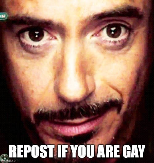 Tony Stark Repost | REPOST IF YOU ARE GAY | image tagged in tony stark repost | made w/ Imgflip meme maker