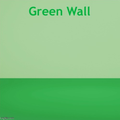 Green wall | image tagged in cats,dogs,rabbits,funny,minecraft | made w/ Imgflip meme maker
