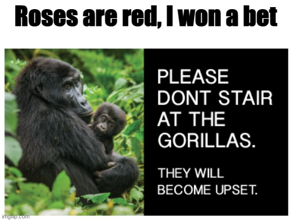 got this from IXL | Roses are red, I won a bet | image tagged in roses are red,gorilla,funny,memes | made w/ Imgflip meme maker