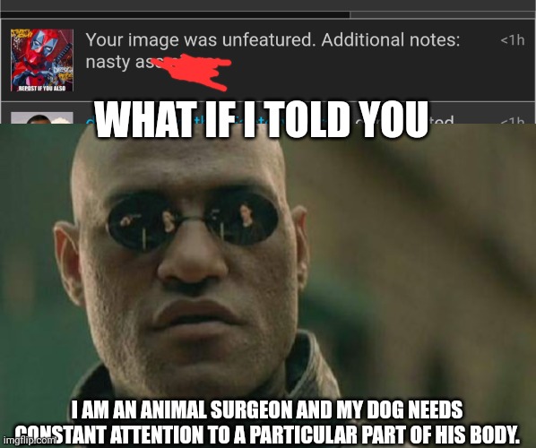 Then I would be a dirty lier, I don't have a dog | WHAT IF I TOLD YOU; I AM AN ANIMAL SURGEON AND MY DOG NEEDS CONSTANT ATTENTION TO A PARTICULAR PART OF HIS BODY. | image tagged in memes,matrix morpheus | made w/ Imgflip meme maker