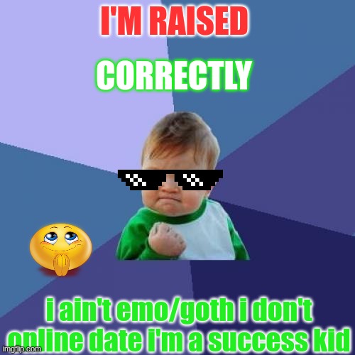 Success kid | I'M RAISED; CORRECTLY; i ain't emo/goth i don't online date i'm a success kid | image tagged in memes,success kid | made w/ Imgflip meme maker