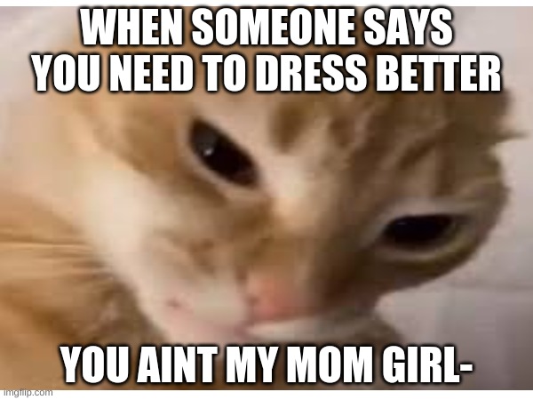 hehehehheheehehhe | WHEN SOMEONE SAYS YOU NEED TO DRESS BETTER; YOU AINT MY MOM GIRL- | image tagged in funny memes,cat | made w/ Imgflip meme maker