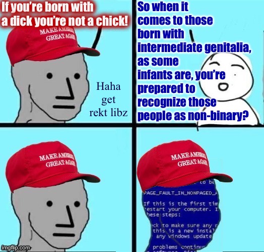 NPC MAGA blue screen fixed textboxes | If you’re born with a dick you’re not a chick! So when it comes to those born with intermediate genitalia, as some infants are, you’re prepared to recognize those people as non-binary? Haha get rekt libz | image tagged in npc maga blue screen fixed textboxes | made w/ Imgflip meme maker