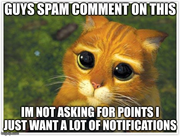 please dawg | GUYS SPAM COMMENT ON THIS; IM NOT ASKING FOR POINTS I JUST WANT A LOT OF NOTIFICATIONS | image tagged in memes,shrek cat | made w/ Imgflip meme maker