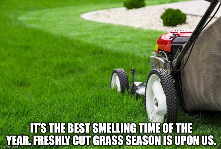 Freshly Cut Grass Season | IT’S THE BEST SMELLING TIME OF THE YEAR. FRESHLY CUT GRASS SEASON IS UPON US. | image tagged in grass,cut the grass,good smell,lawnmower,time of the year | made w/ Imgflip meme maker