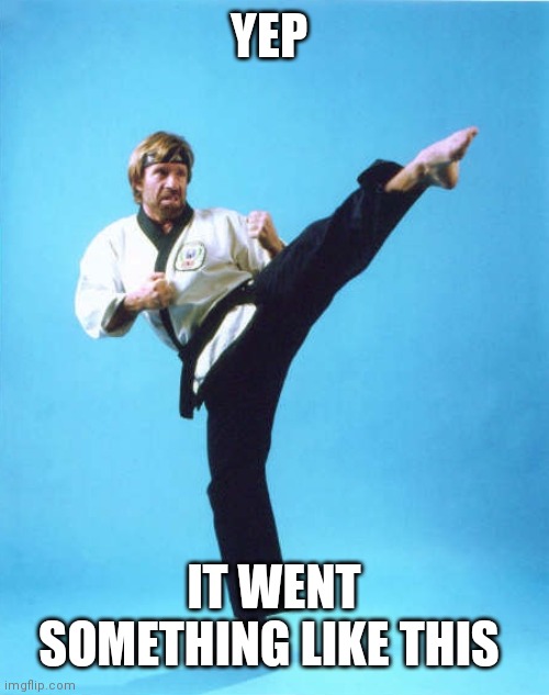 Chuck Norris Kick | YEP IT WENT SOMETHING LIKE THIS | image tagged in chuck norris kick | made w/ Imgflip meme maker