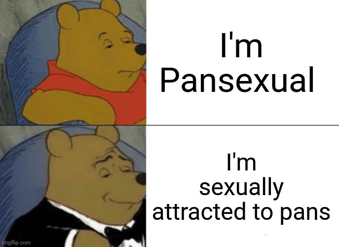 Tuxedo Winnie The Pooh Meme | I'm Pansexual; I'm sexually attracted to pans | image tagged in memes,tuxedo winnie the pooh | made w/ Imgflip meme maker