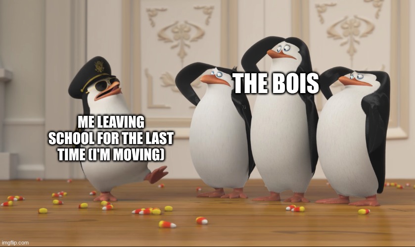 07 | THE BOIS; ME LEAVING SCHOOL FOR THE LAST TIME (I'M MOVING) | image tagged in saluting skipper | made w/ Imgflip meme maker