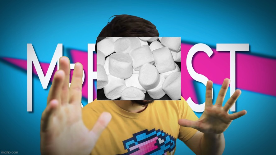 Fake MrBeast | image tagged in fake mrbeast | made w/ Imgflip meme maker